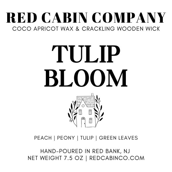 Tulip Bloom
