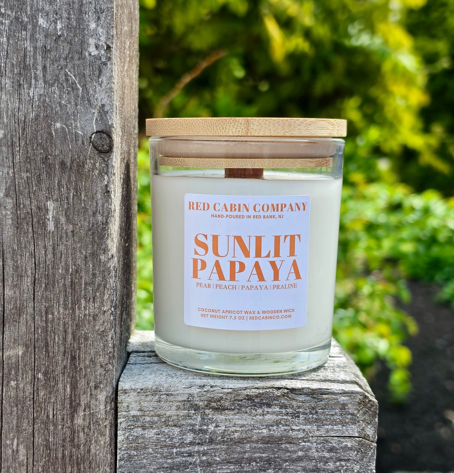 Sunlit Papaya